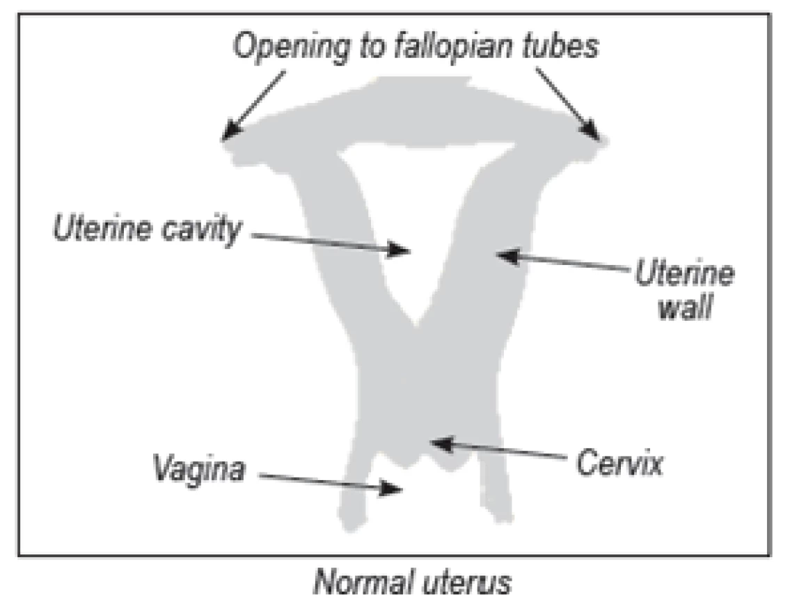 fig1-abnormalities.webp