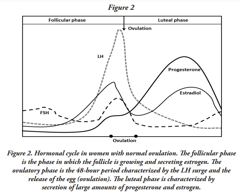 fig2-medications-for-inducing-ovulation.webp