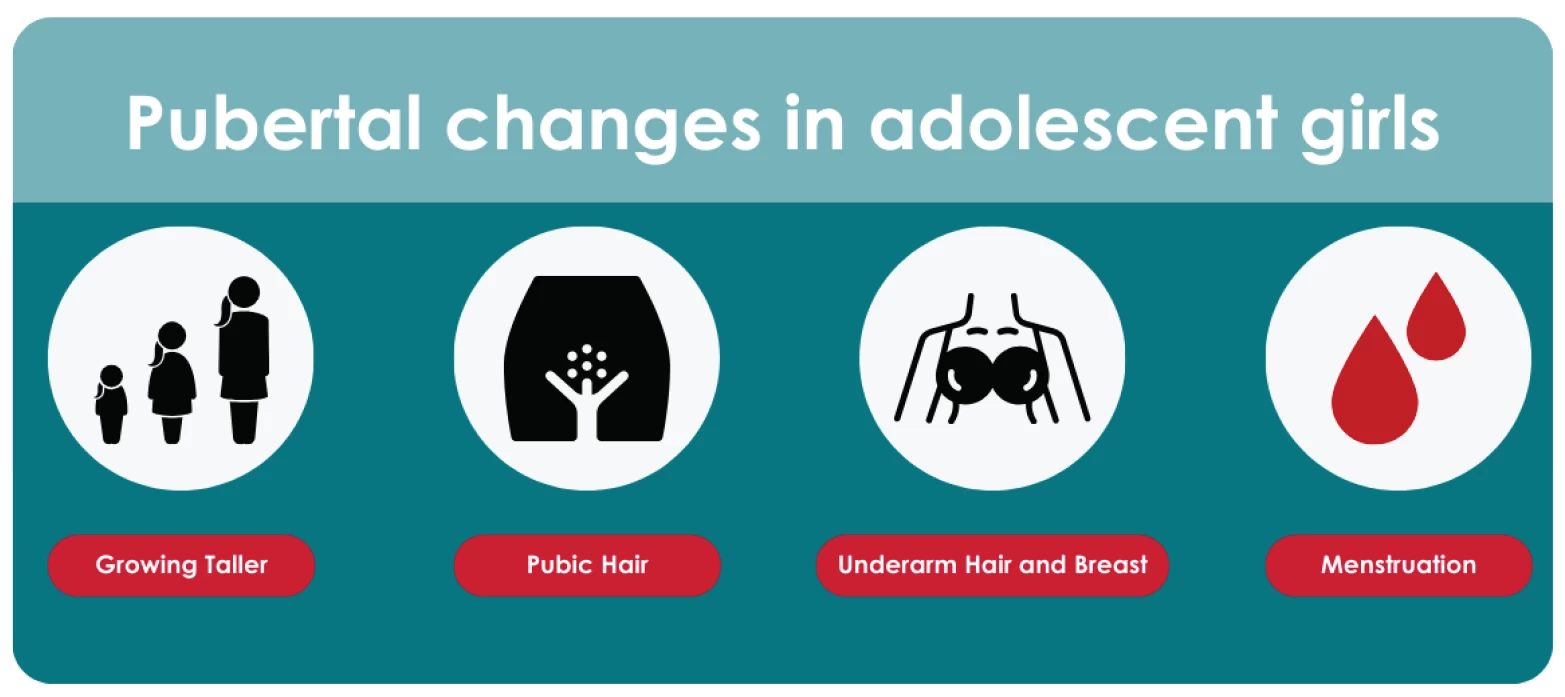 fig1-normal-puberty.webp