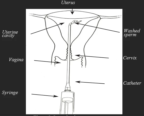 thirdparty_Fig3.webp