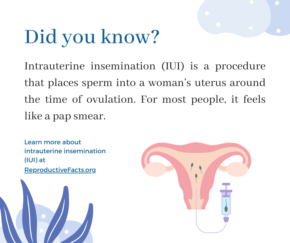 Intrauterine Insemination IUI Infographics ReproductiveFacts Org